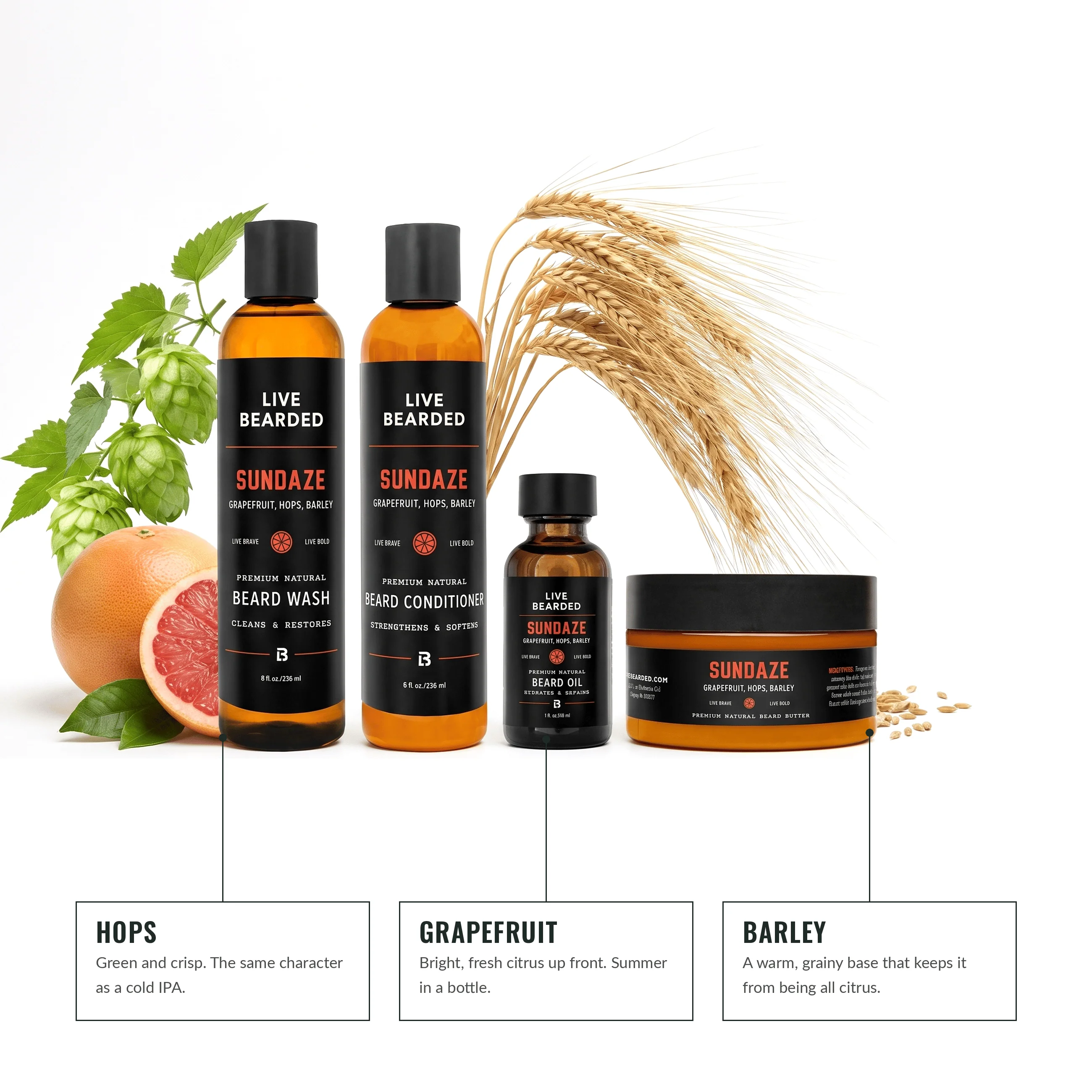 Complete Beard Kit.